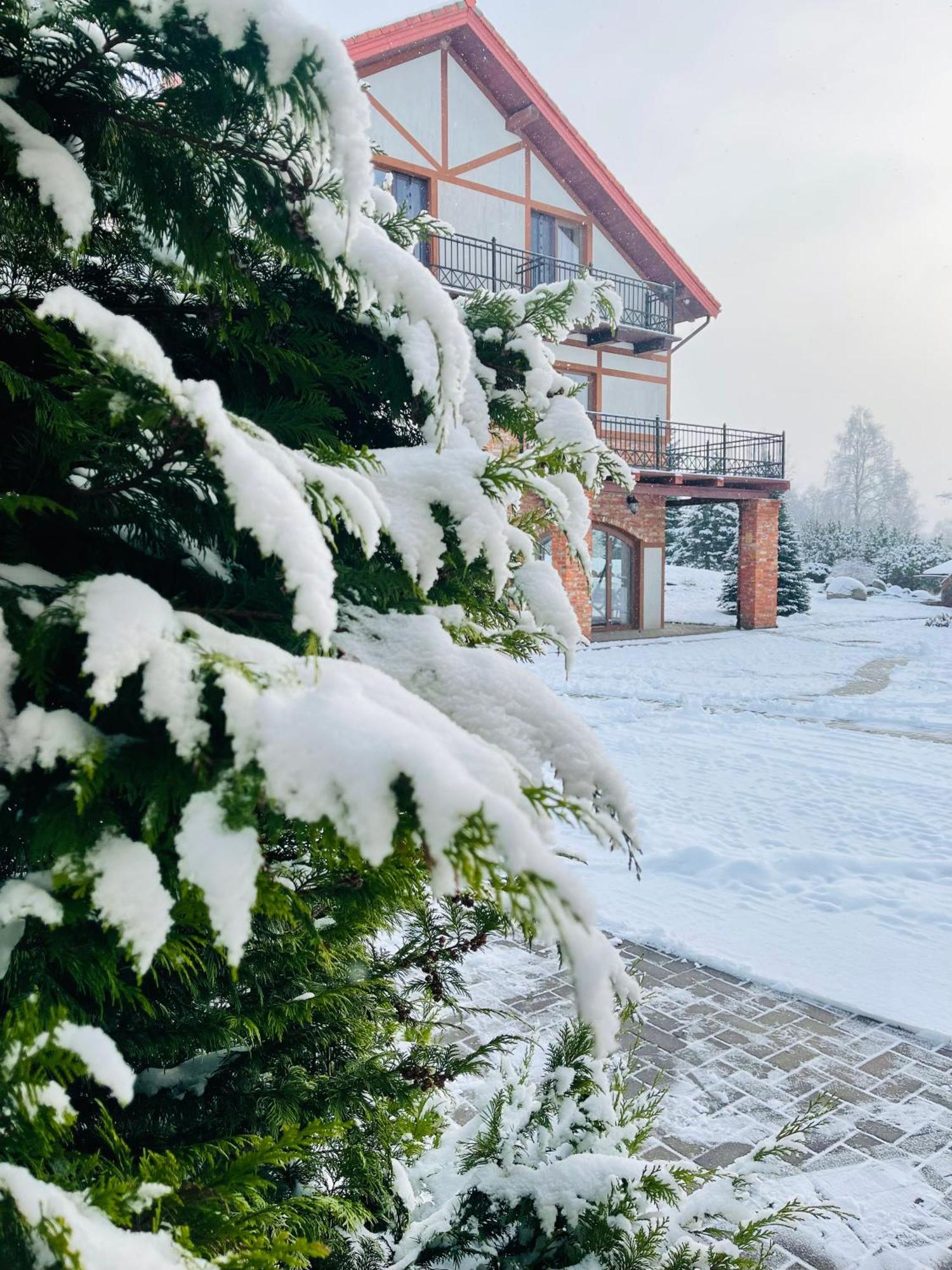 Jurvinge Hotel Zadvainai Luaran gambar